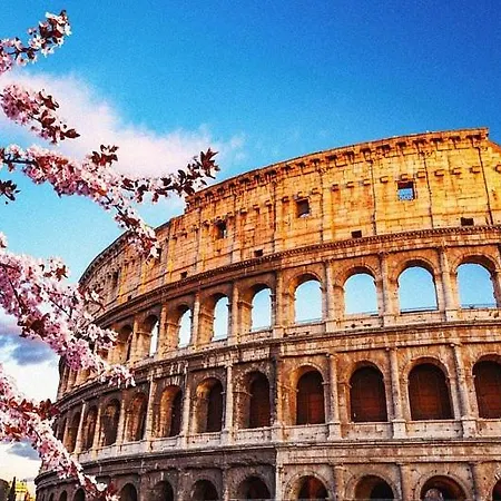 A Casa Di Cicca Roma