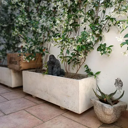 A Casa Di Cicca