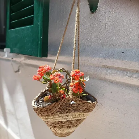 A Casa Di Cicca Apartamento